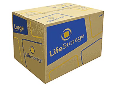 life-storage-large-box