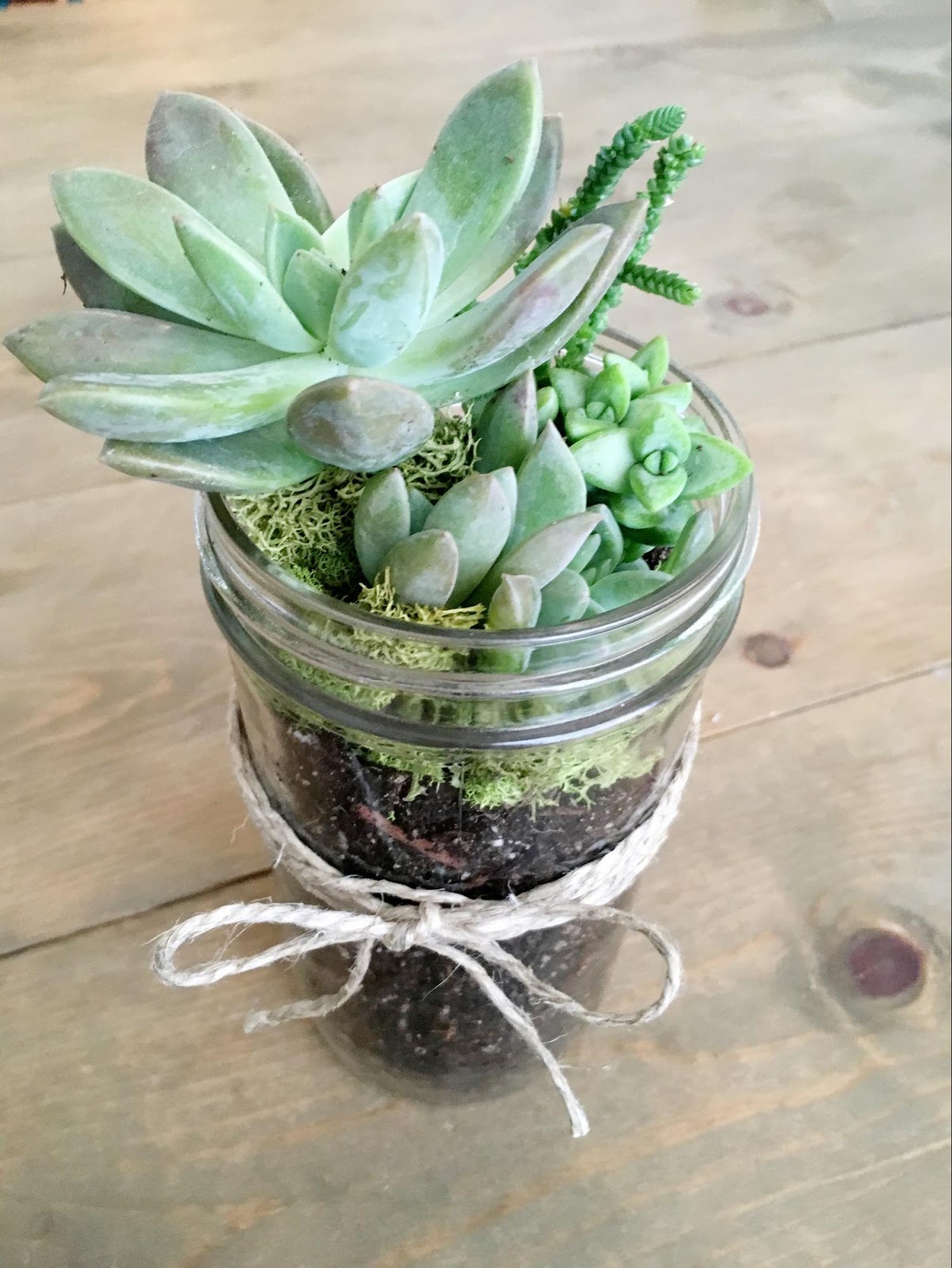 Green Cactus Shaped Mason Jar Tumbler