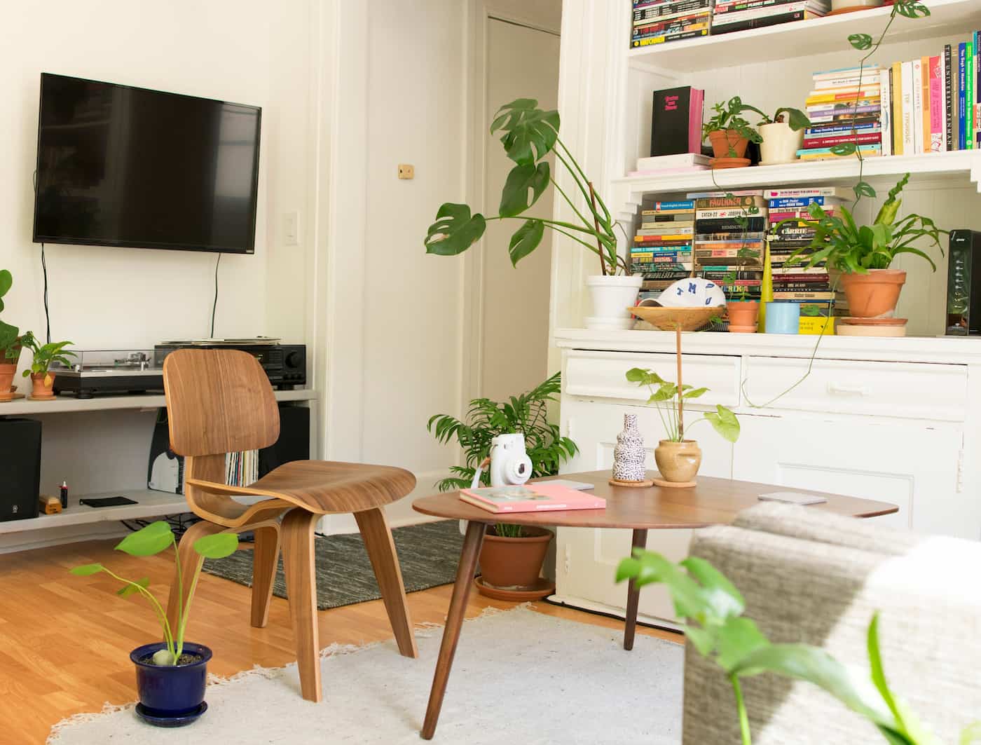 The Complete Renter's Guide for Apartment Essentials - Rosetti