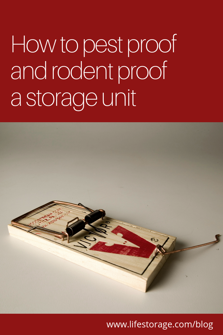 A Mouse-Proof Pantry  Locker storage, Storage, Pantry storage